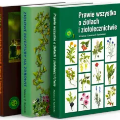 10 najlepszych blogów o ziołach: wiedza o ziołolecznictwie
