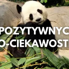 Zaskakujące ciekawostki ekologiczne - fakty, które zmienią twoje życie