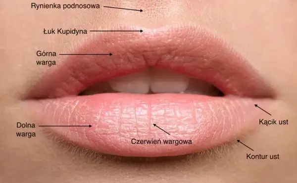 Koreańskie usta - sekrety soczystego makijażu w stylu K-beauty
